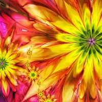 Bright Burst of Color