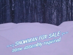 ~~; SNOWMAN FOR SALE ;~~