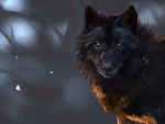 Dark Wolf