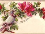 Victorian Calling Card ~ Thy Friendship