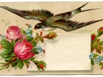 Victorian Calling Card ~ Swallow and Roses