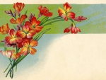Victorian Calling Card ~ Flowers