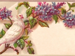 Victorian Calling Card ~ Wisteria and Dove