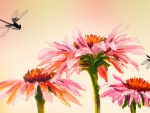Echinacea and Dragonflies