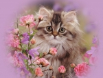 Persian kitten among roses