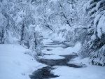 Winter River