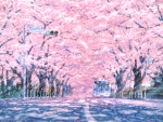 Sakura Street