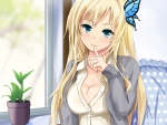 Kashiwazaki Sena