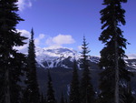 Whistler Dream