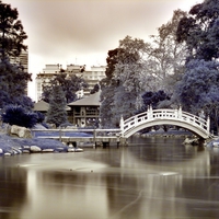 Japanese Garden Bridge