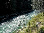 Sun sparkling on the Skagit River