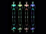 Four Rainbow Skeletons