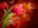 Tulips with butterflies