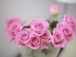 Pink roses