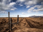 a fence between straw fields hdr