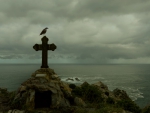 bird standing on a memorial cross at a seacoast