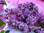 I love lilacs