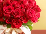 Beautiful Red Roses!