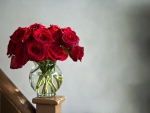 Red roses
