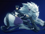 Raidou Kuzunoha & Cerberus