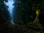MYSTIC FOREST