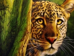 LEOPARD IN THE JUNGLE