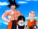 Goku, Gohan and Krillin!