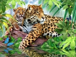 BIG CAT'S OF THE RAINFOREST