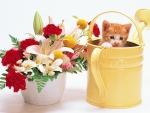 Spring Bouquet and Kitten