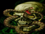 Skull and snake