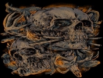 skulls