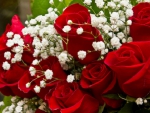 Red roses