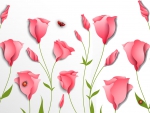 Fresh Pink Tulips