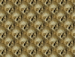 Wall of skulls