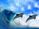 Dolphins-in-the-surf