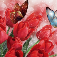 Tulips and Butterflies