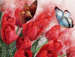Tulips and Butterflies