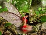 Cute Fairy