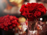Vase of beautiful red roses