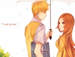 ~ ichigo & orihime ~