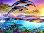 Dolphin paradise