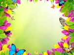 Flowers & Butterflies