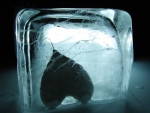 Frozen Heart By...