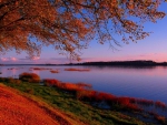 autumn sunset on a lake