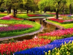 Keukenhof Gardens
