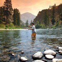 Fly Fishing