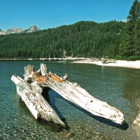 Redfish Lake