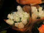 White Rose Buds
