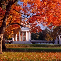 University of Virginia