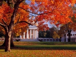 University of Virginia